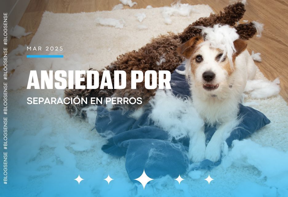 Ansiedad por separación en perros